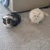 kay.16096037 - @kay.castillo - TikTok