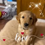 Kathy Chapin - @kathychapin - Instagram