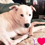 Kay Chapin - @copaysmomma - Instagram