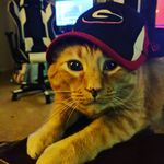 kay charbonneau - @kay.charbonneau - Instagram