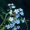 Kay Charles - @kay.charles.473 - TikTok