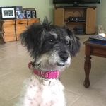 Kay Cobb - @kay.cobb.71 - Instagram