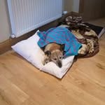 Kay - @kay.coe60 - Instagram