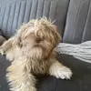 kaycoevering - @kaycoevering - TikTok