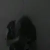 kay - @kaycogan - TikTok