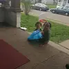 Denise Kay Collier - @denise.kay.collie - TikTok