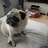 Kay Collier - @kay.collier3 - TikTok