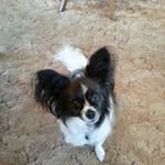 Kay Conrad - @kay.conrad.391 - Instagram