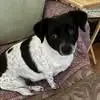 Kay Corcoran Kavanagh - @kay.corcoran.kava - TikTok