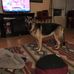 S Kay Corder - Facebook