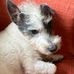 Kay Cotton - Facebook