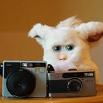 KAYAKO - @kay_cottontail - Instagram