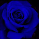 Kay Crabtree - @mamaw_mimmie - Instagram