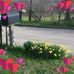 Kay Webster Crain - Facebook