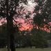 Kay Crane - Facebook