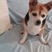Kay Crisp - Facebook