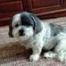Kay Crowley - Facebook