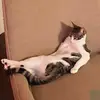 Kay Dalton - @kay.dalton - TikTok