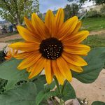 Kay Daly - @dalykay - Instagram