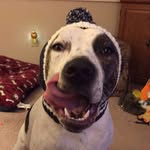 Kay Darcy - @kaydarcy7 - Instagram