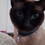 Kay Davison - @kaydavison67 - Instagram