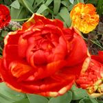 Kay Derby - @derby7517 - Instagram