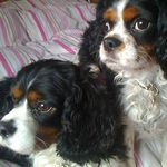Kay Dodd - @kaydodd884gmail.com_ - Instagram