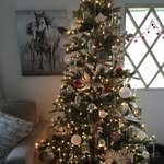 Kay Dodd - @kay.dodd.92 - Instagram