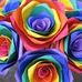 Kay Dodge - Facebook