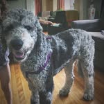 Kay Dodge Gilbert - @kaygilbert40 - Instagram