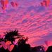 Kaye Dodge - Facebook