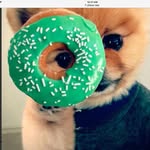Kk Dowling - @kay_dowling2008 - Instagram
