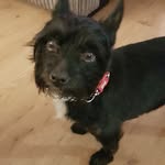 Kay Duffy - @duffy3109 - Instagram