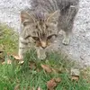 Kay Duffy - @kay.duffy18 - TikTok
