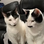 Kay Duffy - @kduffy8559 - Instagram