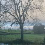 Kay duffy - @wild_oak_barn - Instagram