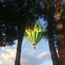 Kay Dutton - Facebook