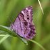 Kay Dutton - Facebook