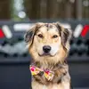 Mikayla_Wildheart - @kaylaeason42 - TikTok