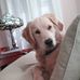 Kay Emory - Facebook
