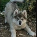 Kaydence Etherton - @kaydenceetherton - Instagram