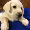 kayleighgoetter - @kayleighgoetter - TikTok