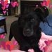 Kay Fair - Facebook