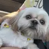 Kay_farm21 - @kaytlanfarmer_21 - TikTok