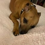 Kay Farr - @kay.farr.3 - Instagram