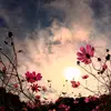 Kay Farring839 - @kayfarr839 - TikTok