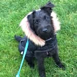 Kay Farrington - @bronte_patterdale - Instagram
