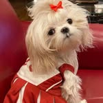 Kay Faust Watkins - @kay.watkins.167 - Instagram