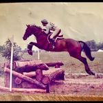 Kay Fielding - @danespins - Instagram