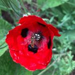 Kay - @kay_fielding2 - Instagram